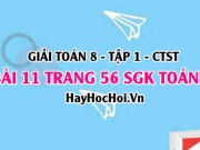 Giải bài 11 trang 56 Toán 8 Tập 1 SGK Chân trời sáng tạo